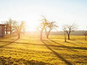 Cascina Artusi cereali senza glutine agricoltura integrata