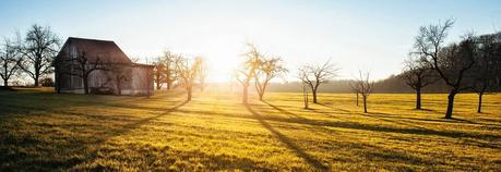 Cascina Artusi - cereali senza glutine da agricoltura integrata