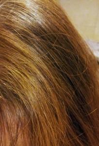 Prove di Hennè ed erbe tintorie sui capelli bianchi