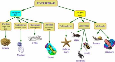 invertebrati_1