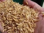 Ambiente: Goodyear utilizzerà buccia riso nelle vostre gomme
