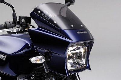 Kawasaki ZRX 1200 DAEG 2009