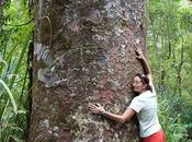 Abbracciare alberi contro depressione post-partum