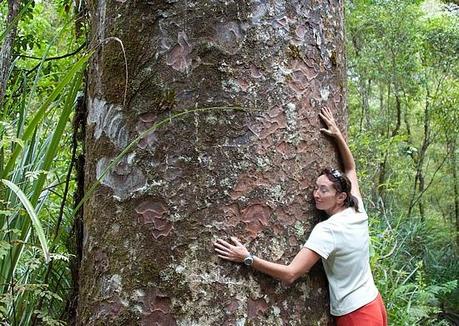 ABBRACCIARE GLI ALBERI CONTRO LA DEPRESSIONE POST-PARTUM