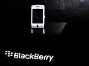 White Contrast event: Blackberry Dior