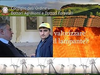 L’Ordine dei Dottori Agronomi e Dottori Forestali della Provincia di Lecce può dire la sua sulla valorizzazione energetica dell’olio lampante?