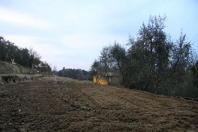 i preparativi dell'orto