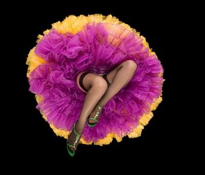Crinoline Flowers by Daryl Banks