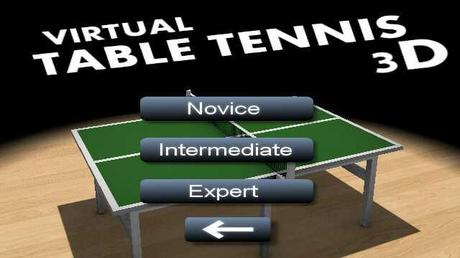 Virtual ping-pong 3D