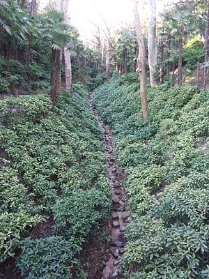 Off topic: Amelie e la bellezza della natura.