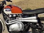 Triumph Scrambler Racing-TROPHY JOMO