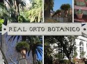 Real Orto Botanico Napoli