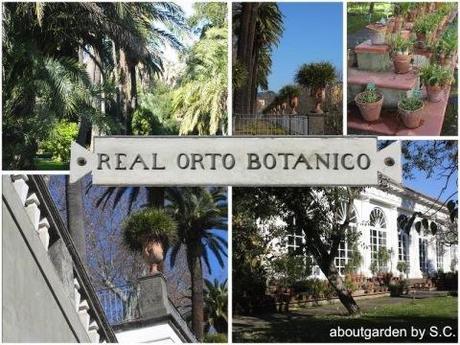 Real Orto Botanico di Napoli