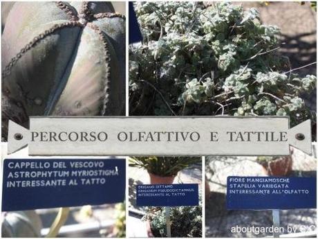 Real Orto Botanico di Napoli