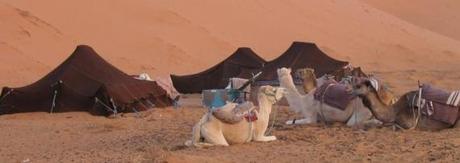 Turismo in panne nel Reame marocchino
