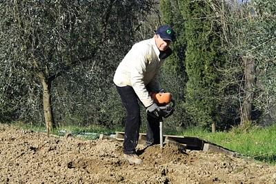 ancora un pezzo d'orto