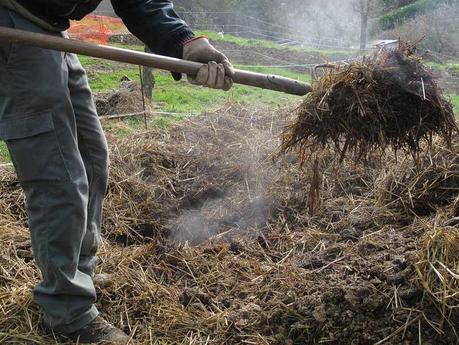 “Un posto nel semenzaio”, anno terzo: i preparativi