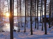Viaggio Finlandia: dove perché andare inverno
