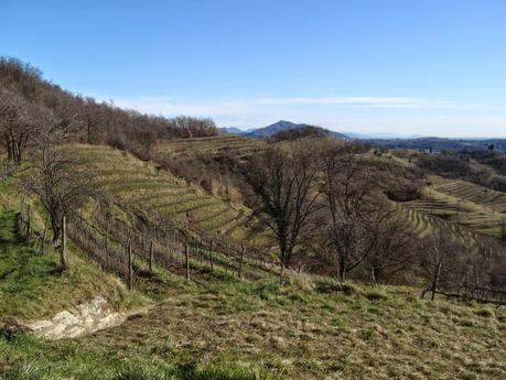 I Prati magri della Valle del Curone