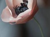 Tutorial come fare fiori carta