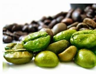 Brevi cenni sul caffè verde