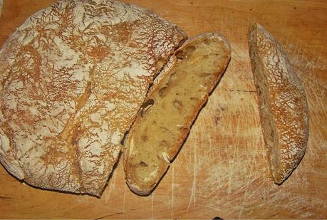Pane senza impasto no knead bread!