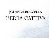 Jolanda Buccella L'erba cattiva