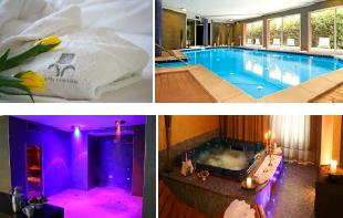 Convegno igienista con Carmelo Scaffidi e cura dell’uva