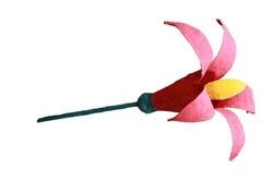 Fiori di carta pesta