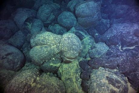 Lave a cuscino (magma congelato) sul Juan De Fuca Ridge, al largo della costa pacifica nord occidentale degli Stati uniti. Un nuovo studio mostra come le eruzioni avvengano seguendo un’inaspettata regolarità. Crediti: Deborah Kelley / University of Washington.