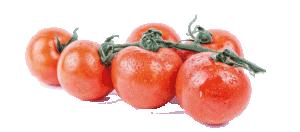 pomodori