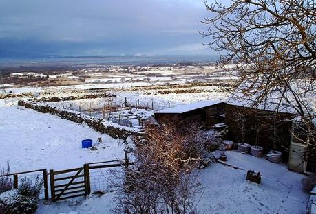 Clogwynn Lodge, a cozy Wales cottage...