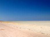 Etosha National Park: Namutoni Halali