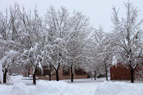 Se la neve ti blocca a casa tu inforna muffin!