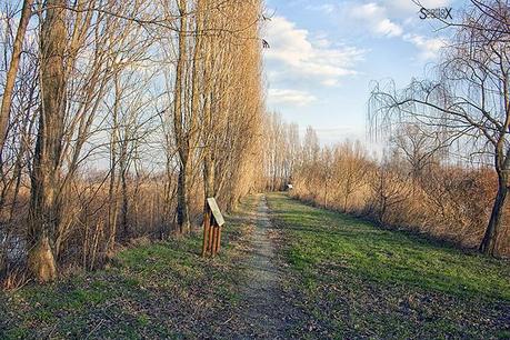 Scorci di Padova: il bacino Naturalistico di Cà di Mezzo