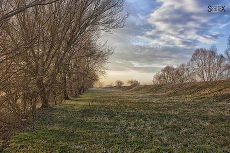 Scorci di Padova: il bacino Naturalistico di Cà di Mezzo