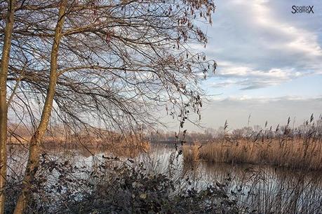 Scorci di Padova: il bacino Naturalistico di Cà di Mezzo