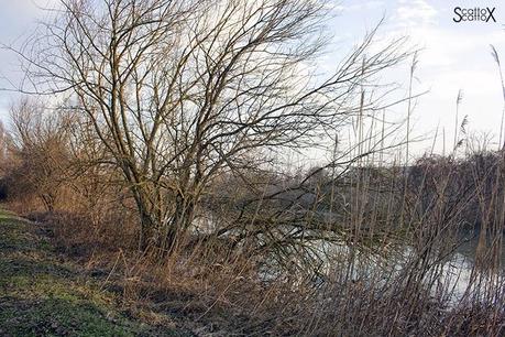 Scorci di Padova: il bacino Naturalistico di Cà di Mezzo