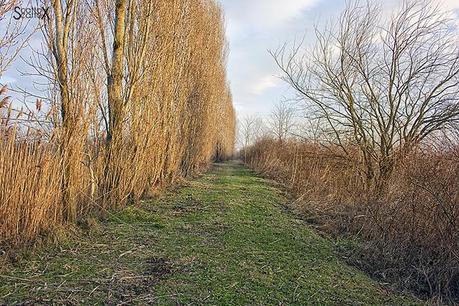 Scorci di Padova: il bacino Naturalistico di Cà di Mezzo