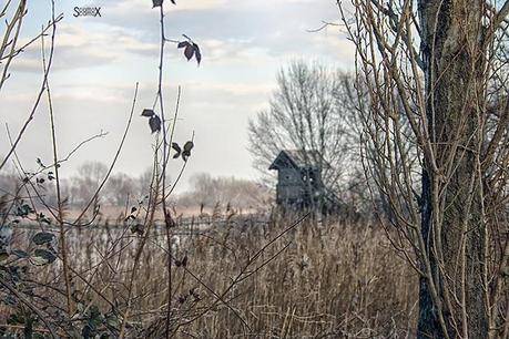 Scorci di Padova: il bacino Naturalistico di Cà di Mezzo