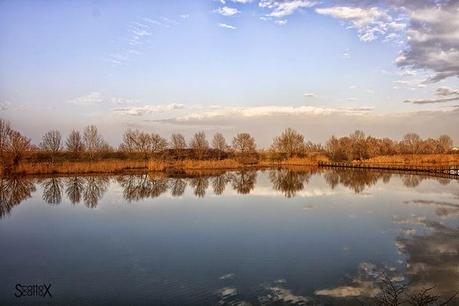 Scorci di Padova: il bacino Naturalistico di Cà di Mezzo