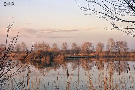 Scorci di Padova: il bacino Naturalistico di Cà di Mezzo