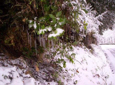 La nevicata del ’15