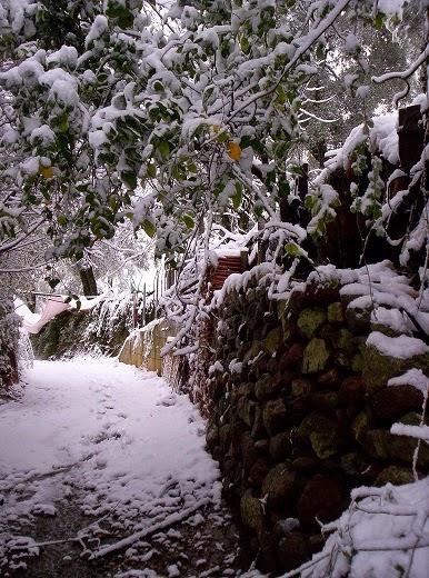 La nevicata del ’15