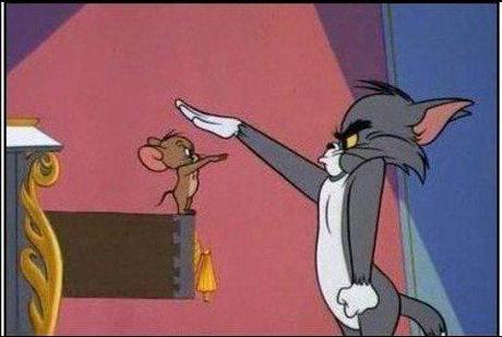 Amore e Bonali: “In consiglio dovremmo prendere decisioni, non solo discutere”