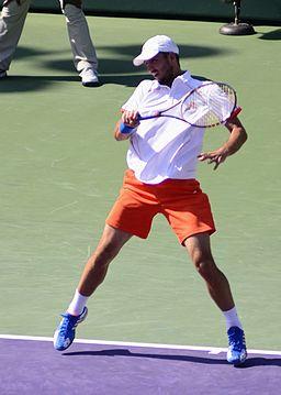 Viktor Troicki (7051455045)