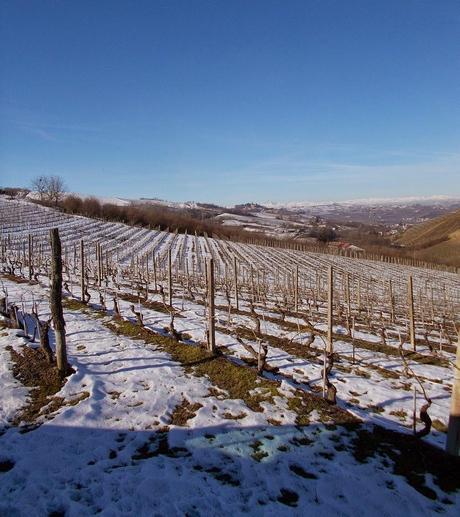 Colline astigiane