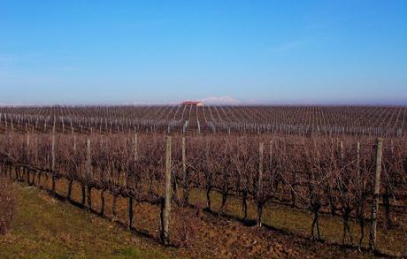 Colline astigiane