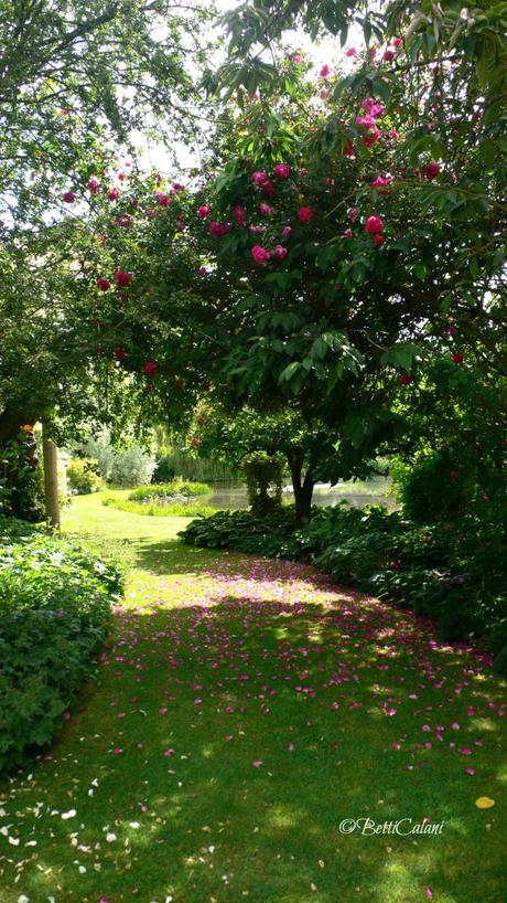 Old Place Farm, un elegante giardino inglese