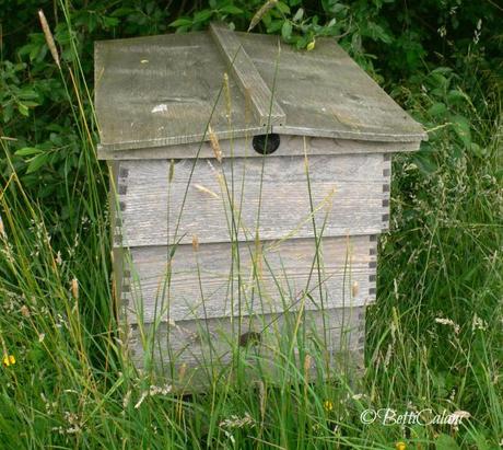 Old Place Farm, un elegante giardino inglese